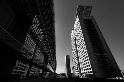  DSC2285